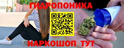 прущие грибы Пугачёв
