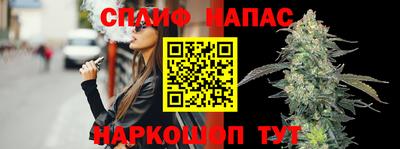 прущие грибы Пугачёв
