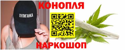 прущие грибы Пугачёв