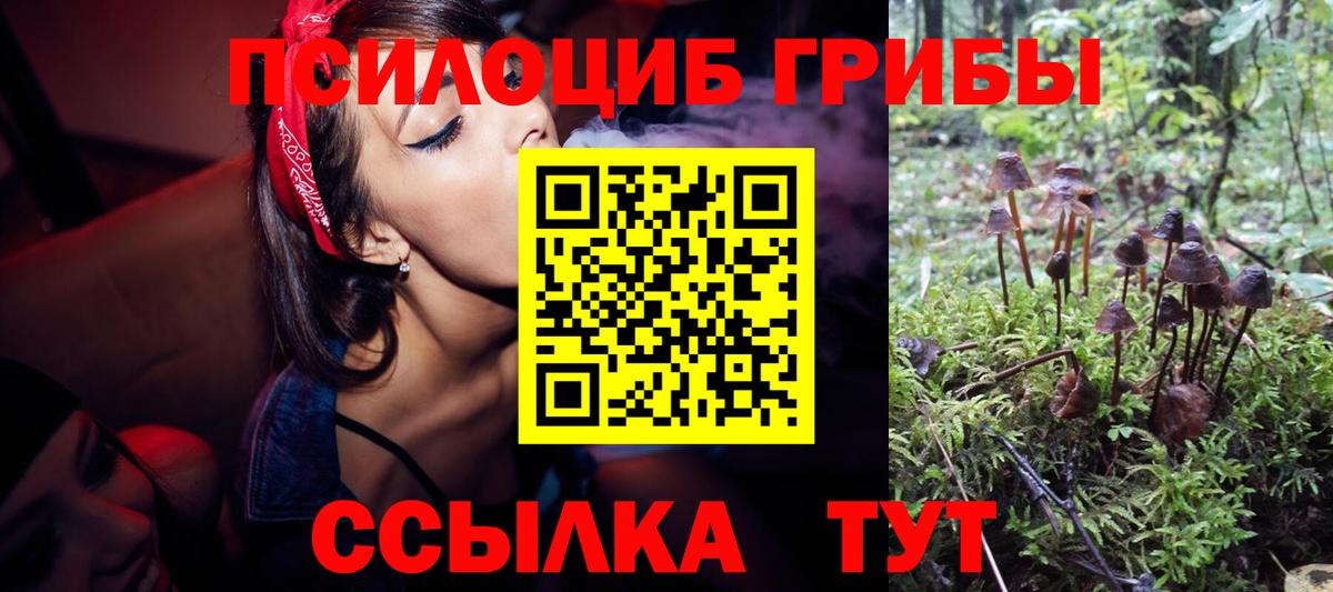 Псилоцибиновые грибы ЛСД Сальск