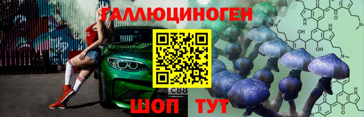 Сальск  Псилоцибиновые грибы Magic Shrooms  Вход с VPN 